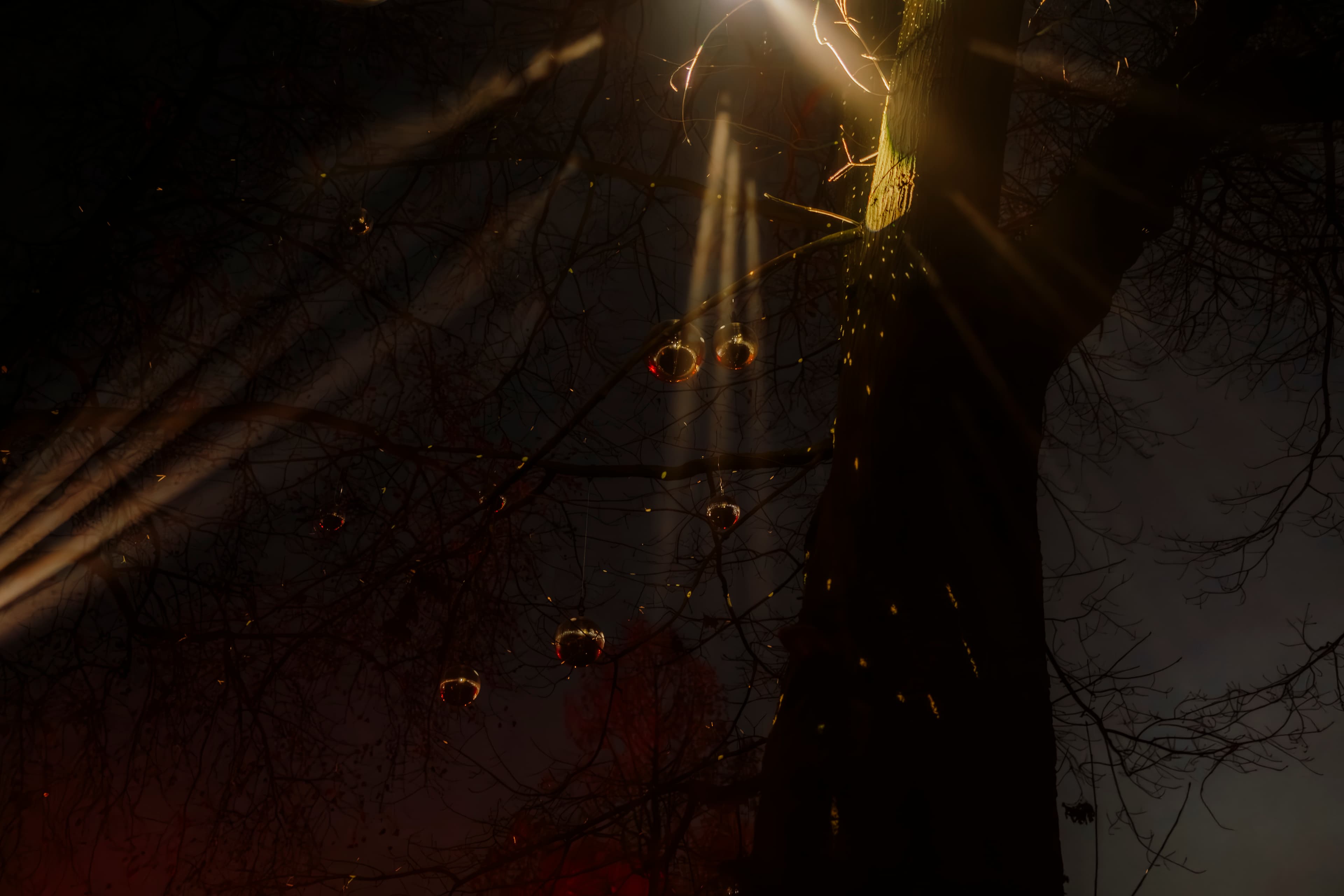 Spiegelkugel Illumination beim Winterleuchten