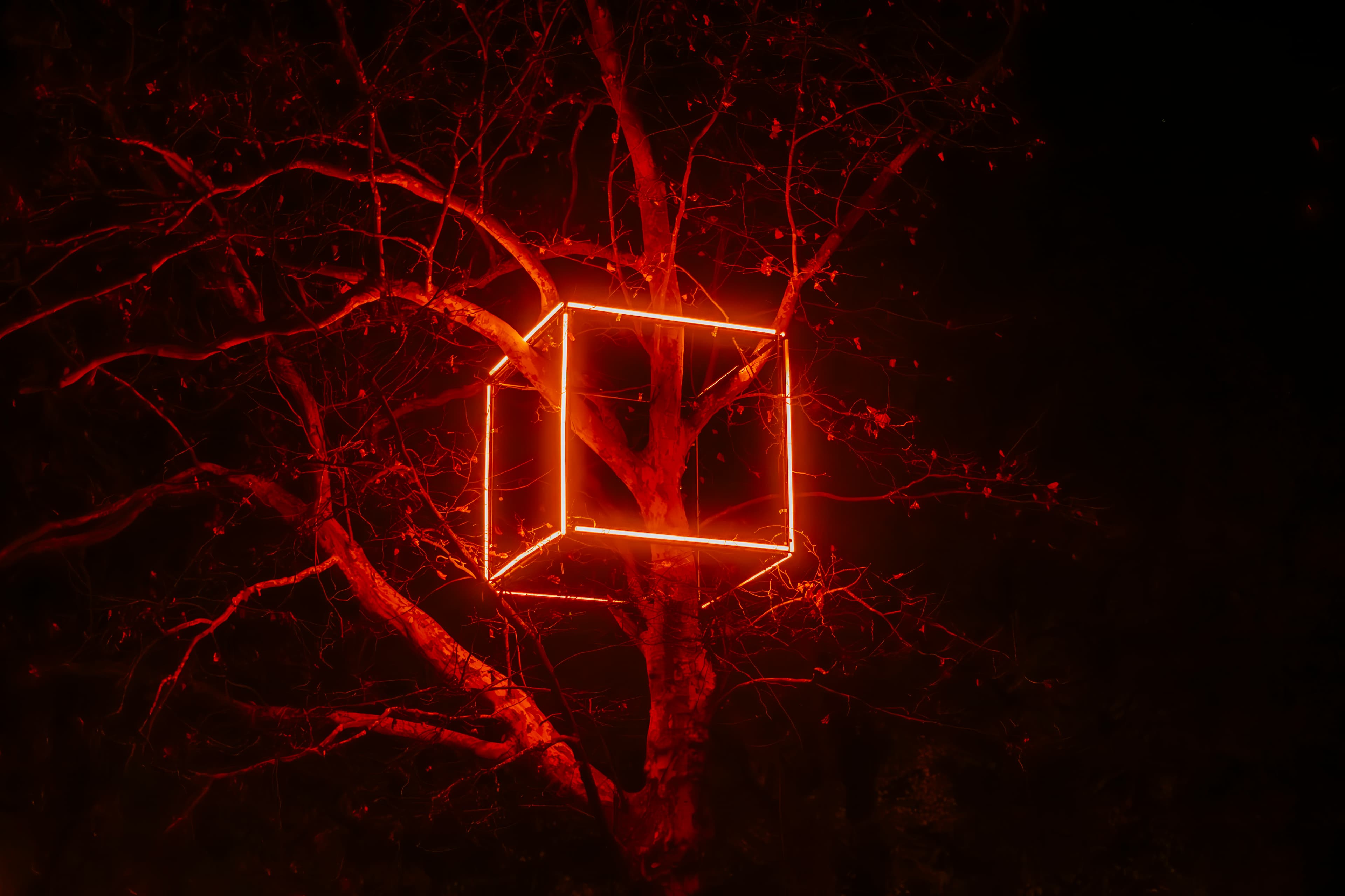 Illumination beim Winterleuchten Event